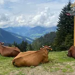 Alpine In Swiss Village Of Torgon