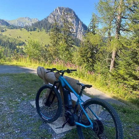 Apartman Alpine In Swiss Village Of *