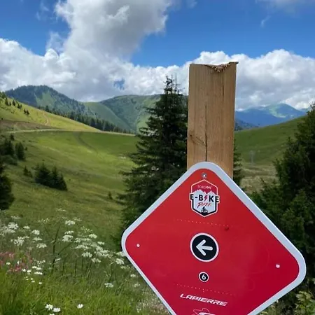 Alpine In Swiss Village Of * Torgon