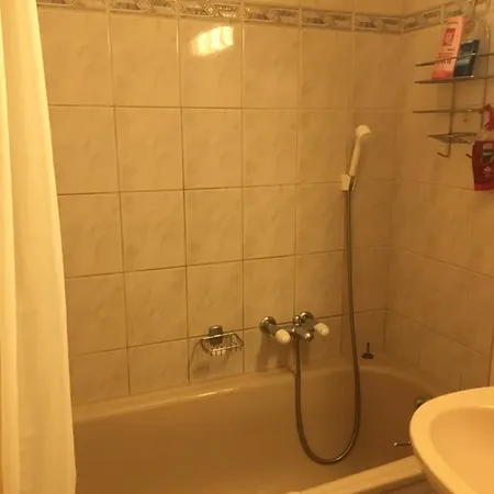 Apartamento Alpine In Swiss Village Of Torgon