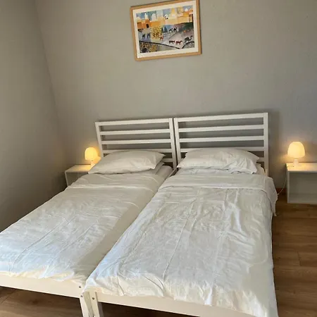 Apartment Alpine In Swiss Village Of Torgon