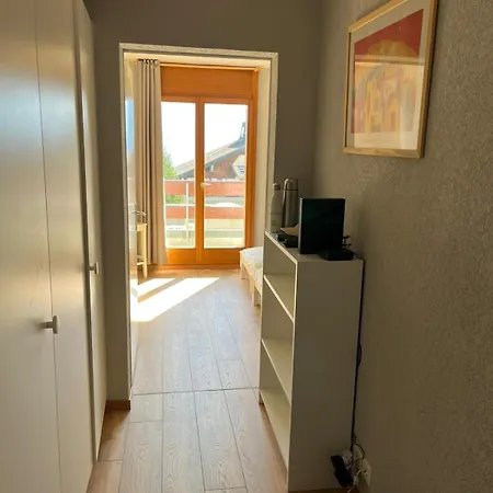 Apartment Alpine In Swiss Village Of Torgon