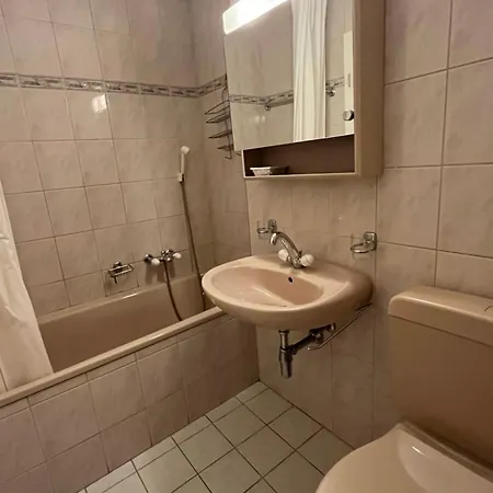 Alpine In Swiss Village Of *