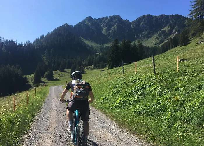 Alpine In Swiss Village Of