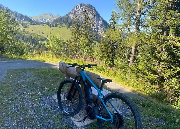 Apartmán Alpine In Swiss Village Of *