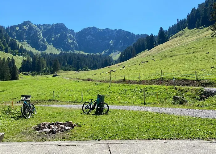 Apartmán Alpine In Swiss Village Of Torgon