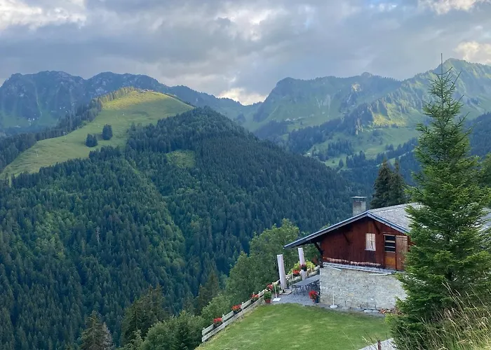 Apartmán Alpine In Swiss Village Of *