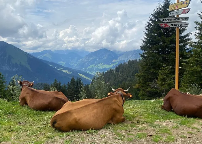 Alpine In Swiss Village Of Torgon