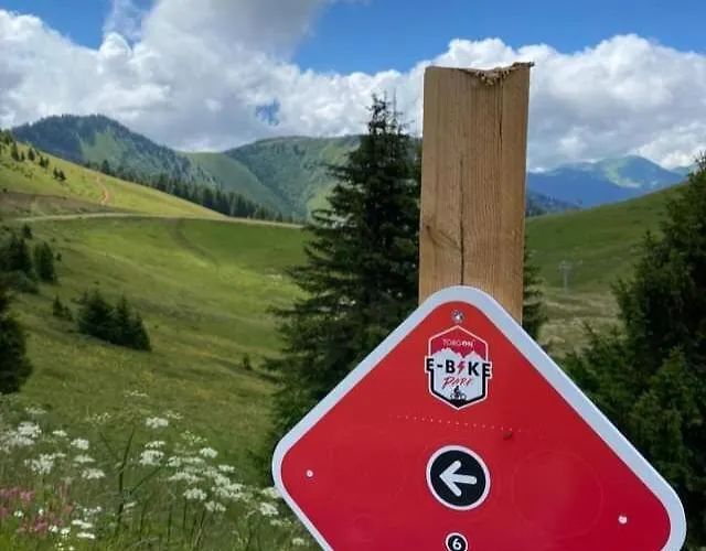 Alpine In Swiss Village Of * Torgon