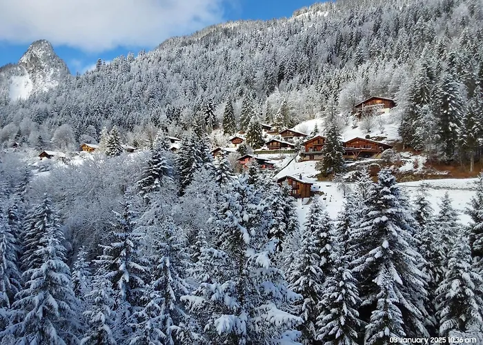 Apartmán Alpine In Swiss Village Of *