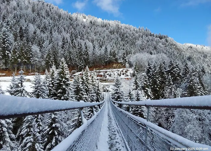 Alpine In Swiss Village Of Apartmán Torgon