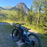 公寓 Alpine In Swiss Village Of *