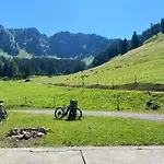 公寓 Alpine In Swiss Village Of Torgon