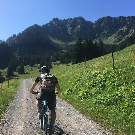 Alpine In Swiss Village Of