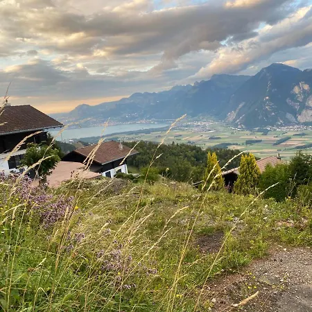 Alpine In Swiss Village Of Torgon