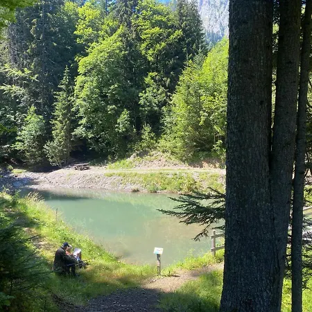 Alpine In Swiss Village Of Lejlighed