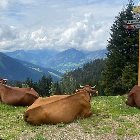 Alpine In Swiss Village Of Torgon