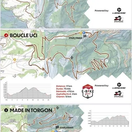 Alpine In Swiss Village Of Torgon