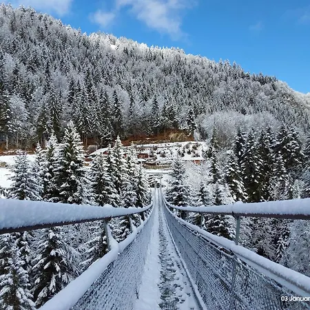 Alpine In Swiss Village Of Lejlighed Torgon